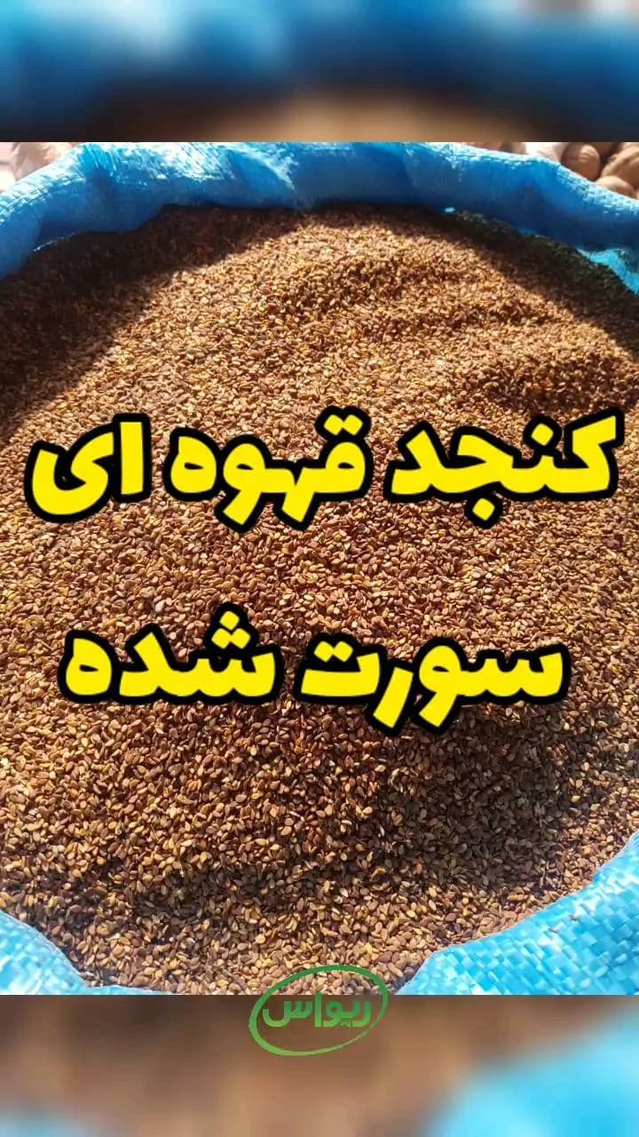 کنجد قهوه‌ای سورت‌شده ایرانی، دانه