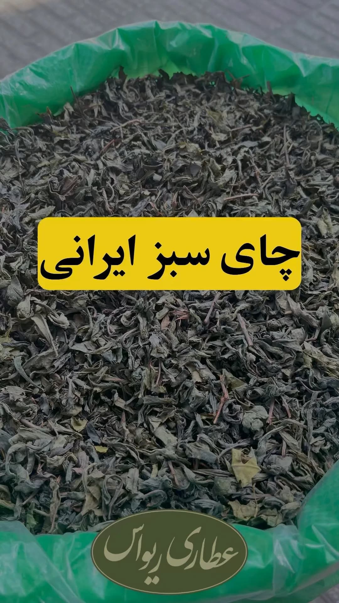 چای سبز ایرانی اعلا