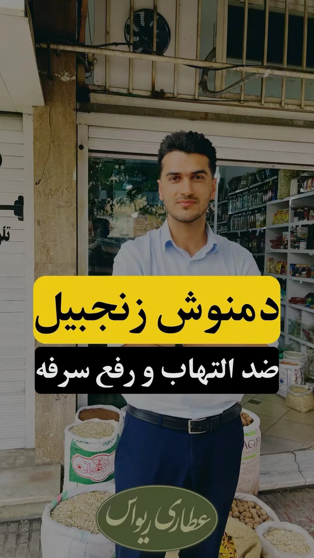 زنجبیل قلم چینی، رنگ کرم و قهوه‌ای، گیاه خشک