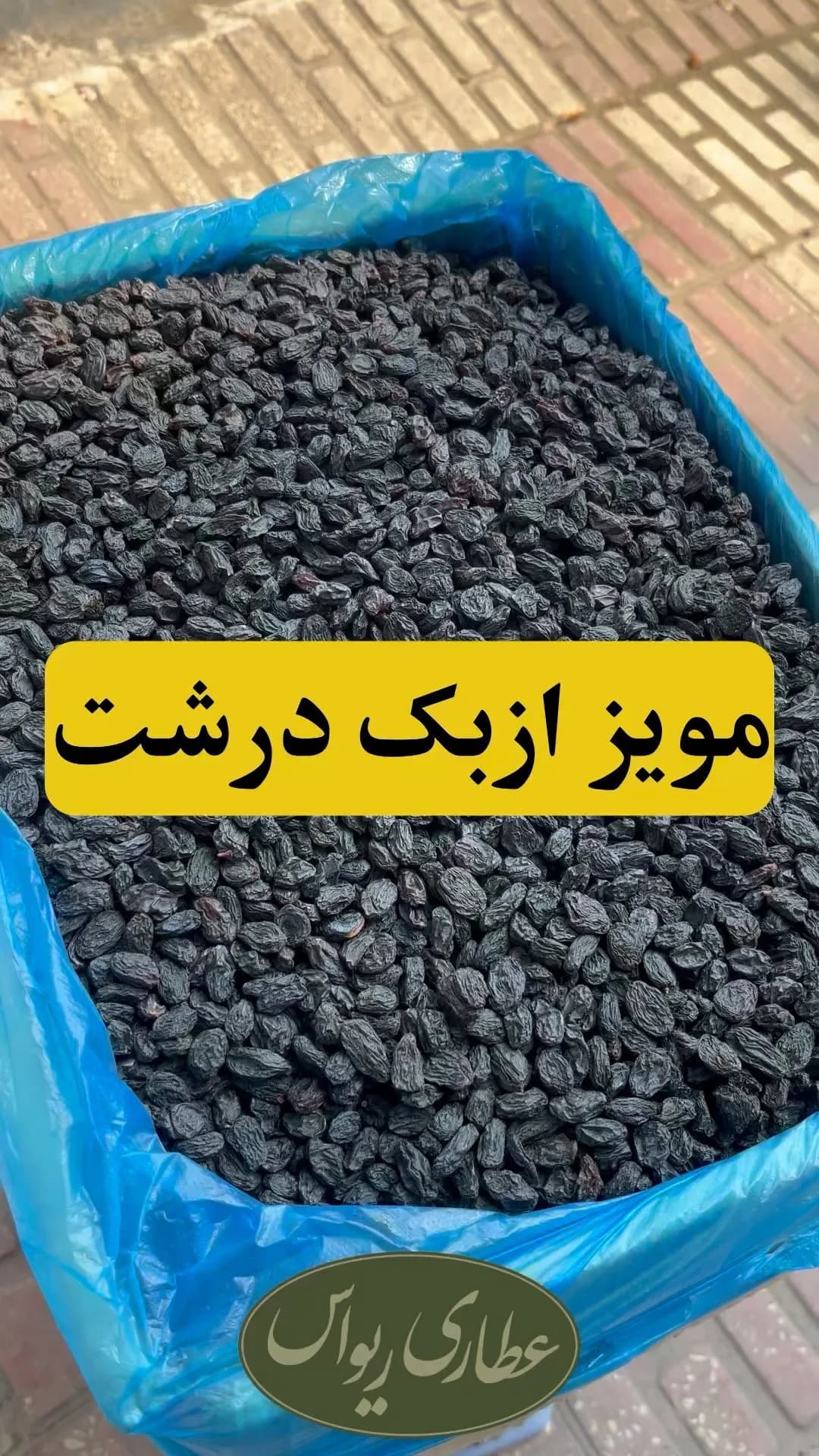 مویز ازبک درشت بدون هسته، رنگ سیاه و بنفش تیره، دانه ریز