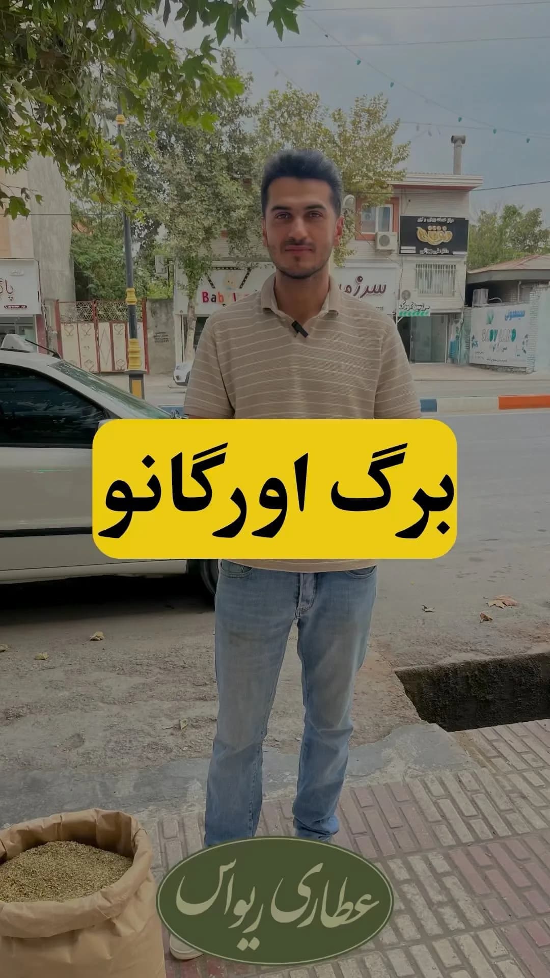 برگ اورگانو ترکیه، رنگ سبز و سبز زیتونی، برگ خشک