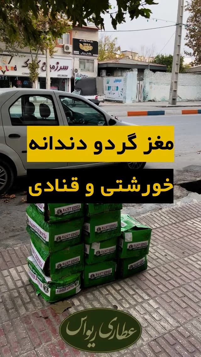 مغز گردو دندانه امساله