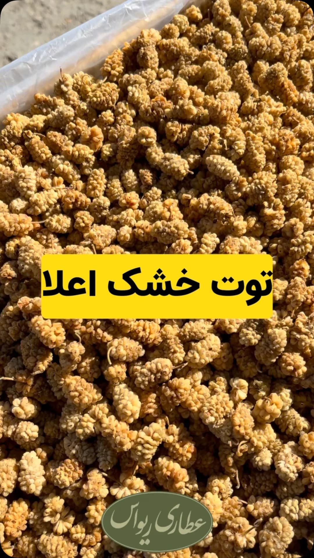 توت خشک سوپر کارتن ۱۰ کیلویی، رنگ کرم و زرد، دانه ریز