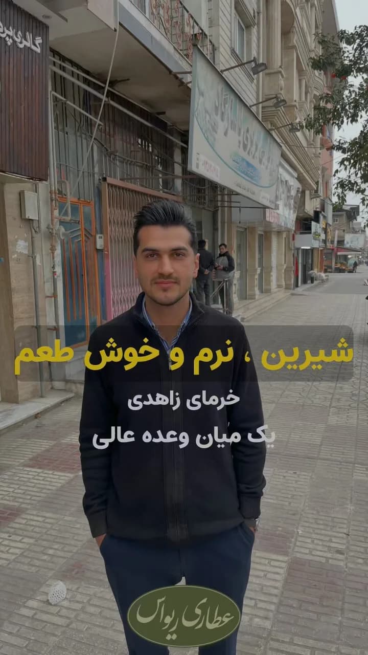 خرمای زاهدی نخل ارم، رنگ مشکی، جنس چرم، کاپشن چرم یقه ایستاده