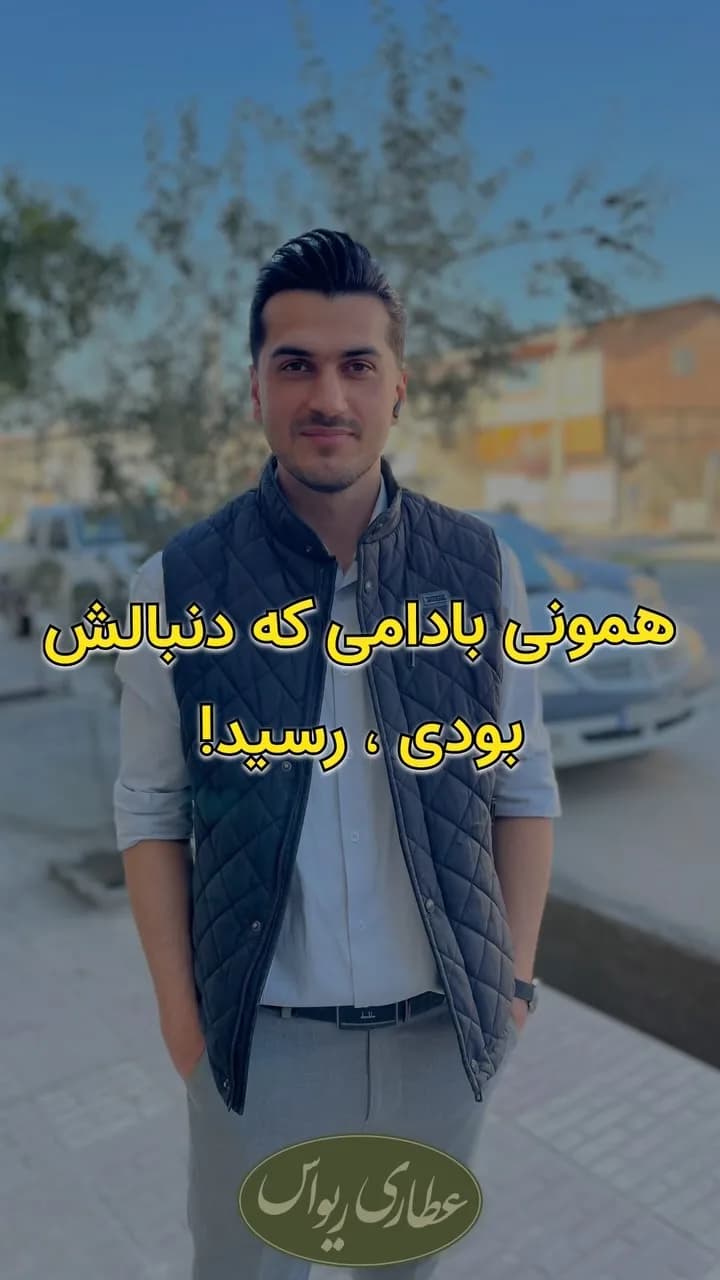 بادام هندی سایز ۱۸۰