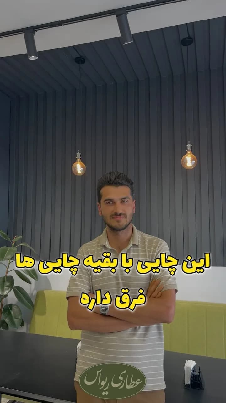 چای سفید سوزنی