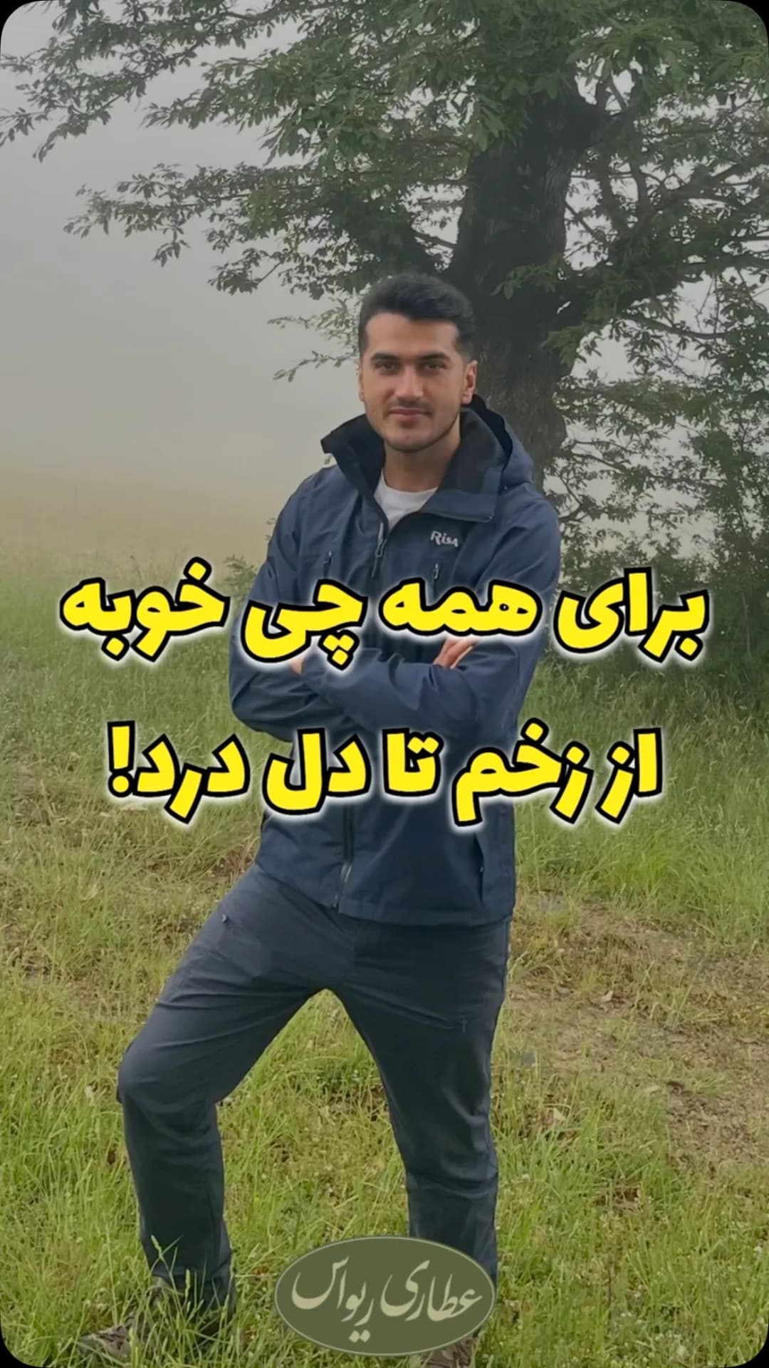 بومادران