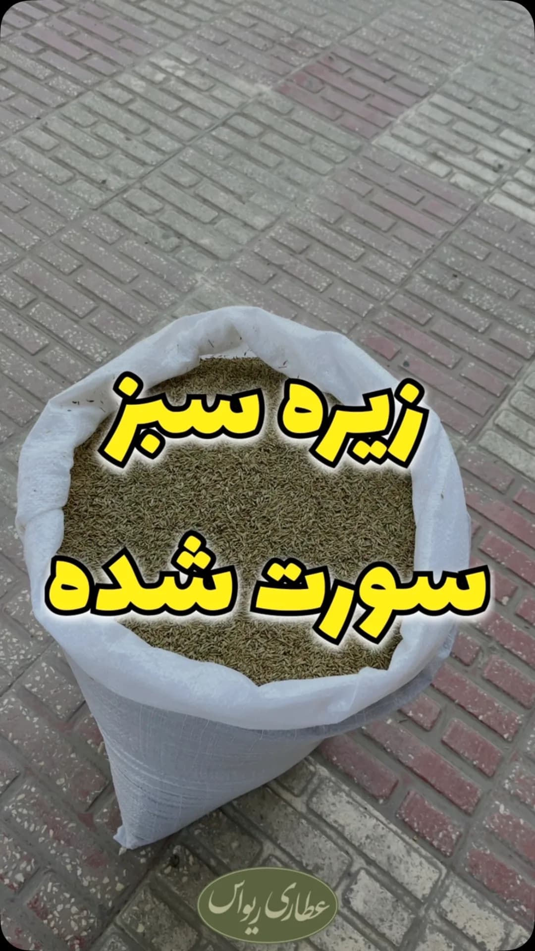 زیره سبز سورتشده، رنگ سبز زیتونی، دانه در گونی