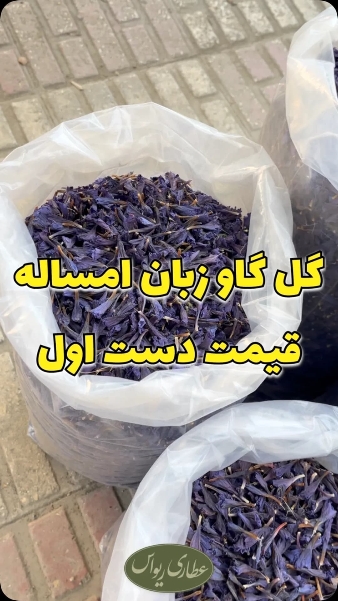 گل گاوزبان، رنگ بنفش، گل خشک در کیسه