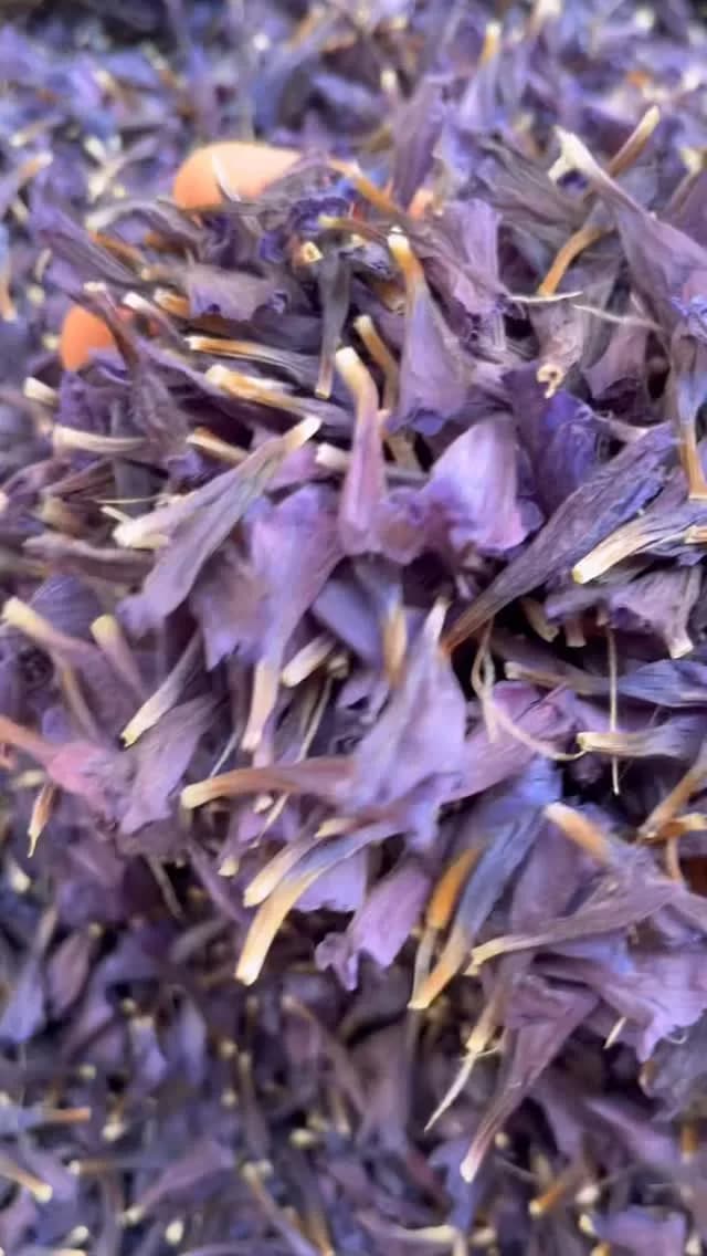 گل گاوزبان، رنگ بنفش، گل خشک