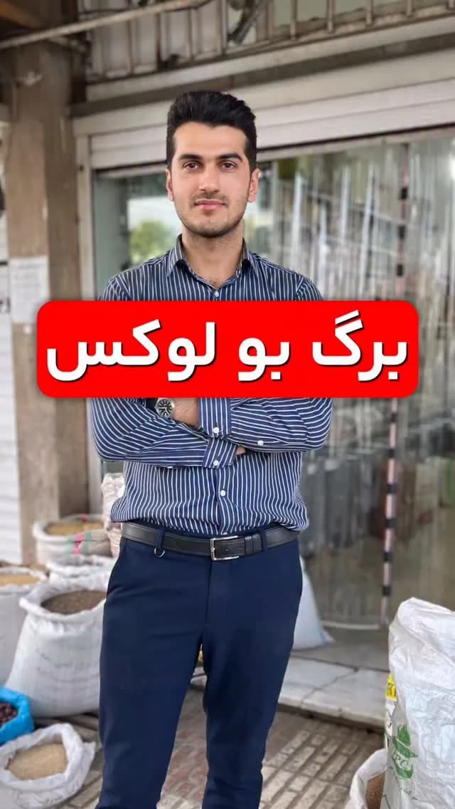 برگ بو