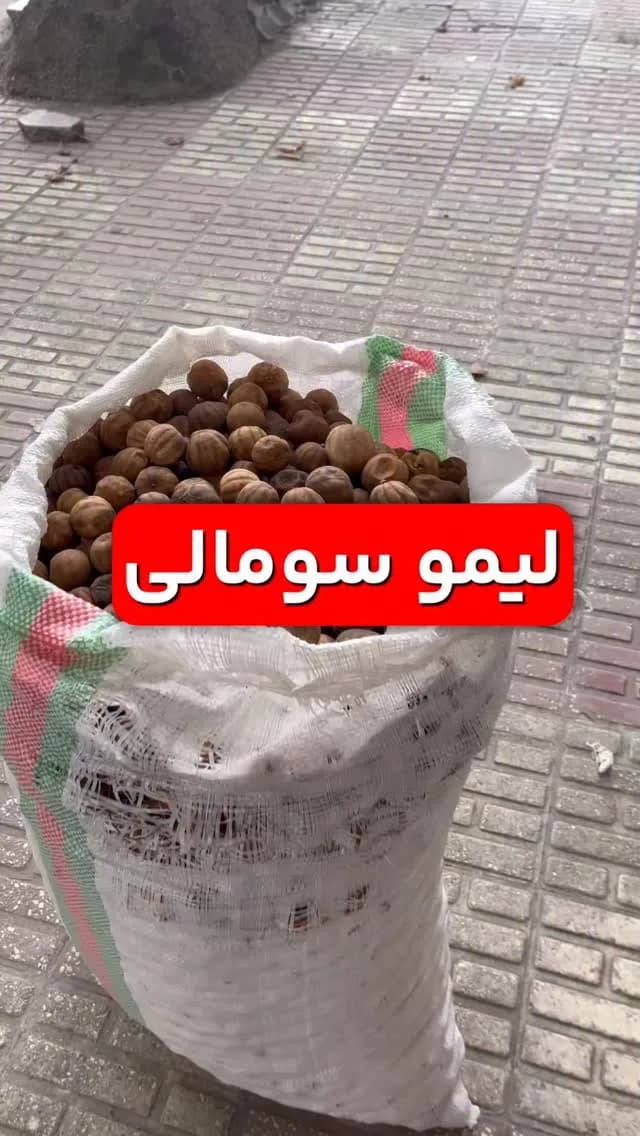 لیمو سومالی