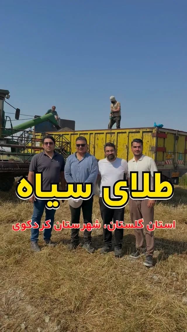 سیاهدانه ایرانی