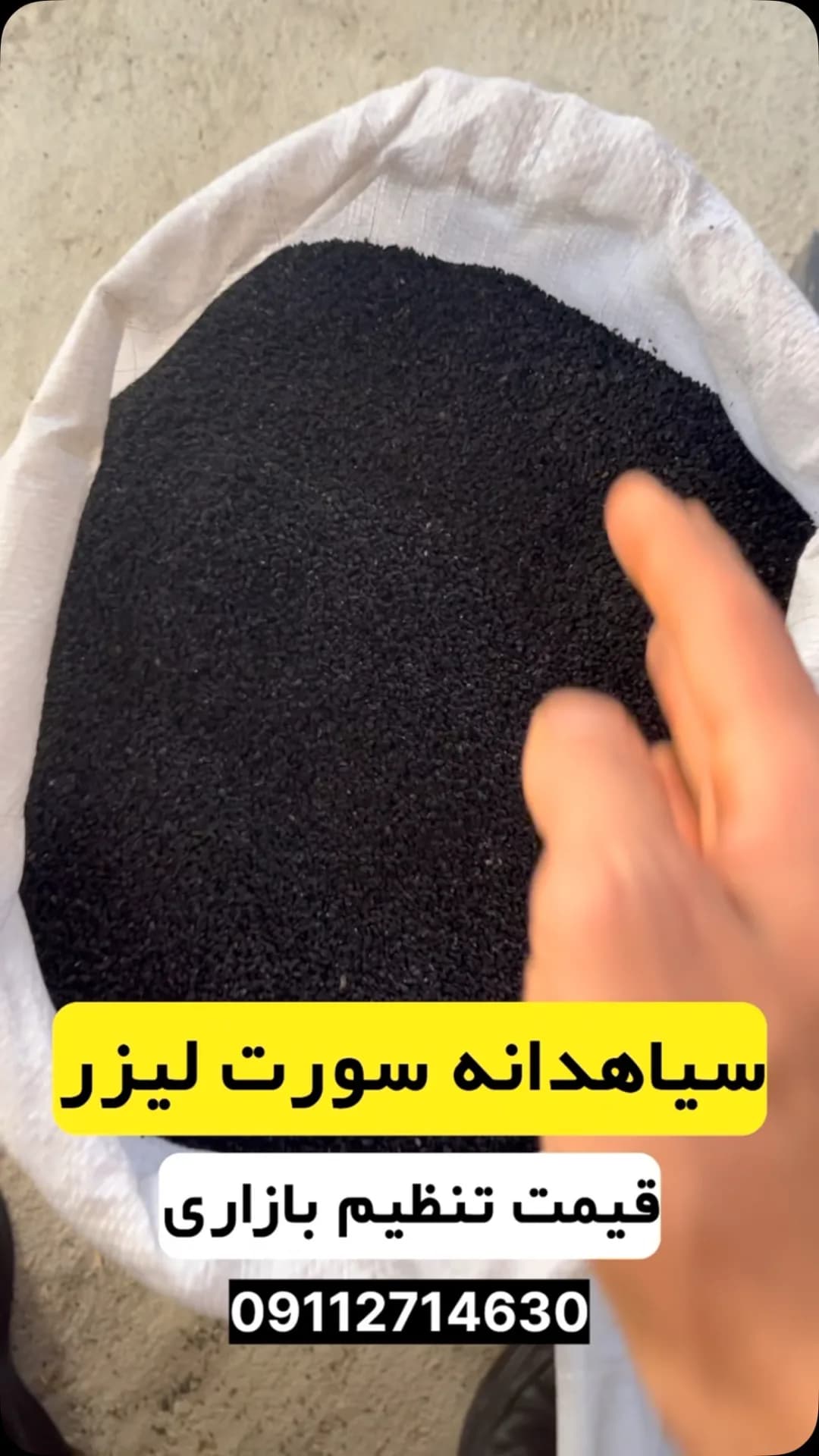 سیاهدانه سورتشده، جنس گیاهی، فلهای