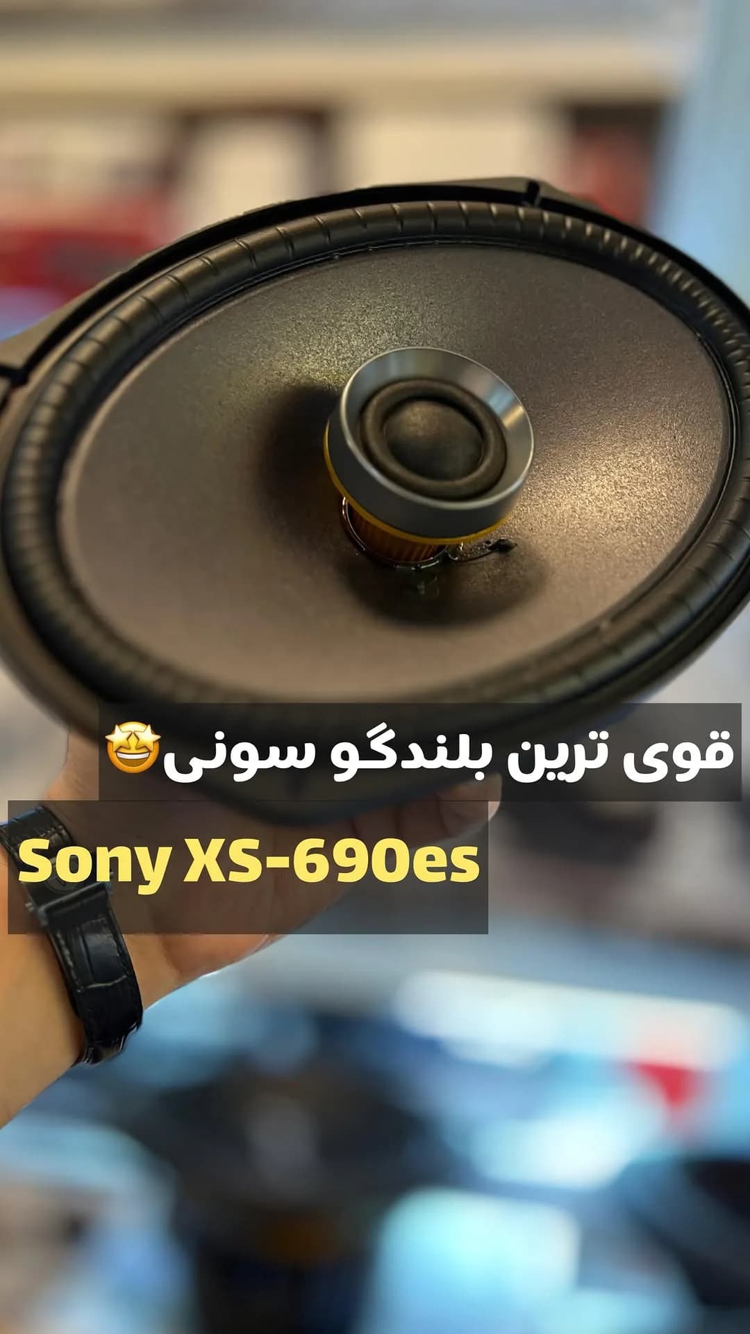 بلندگو بیضی سونی XS-690ES، رنگ مشکی، جنس پلاستیک و فلز، گرد