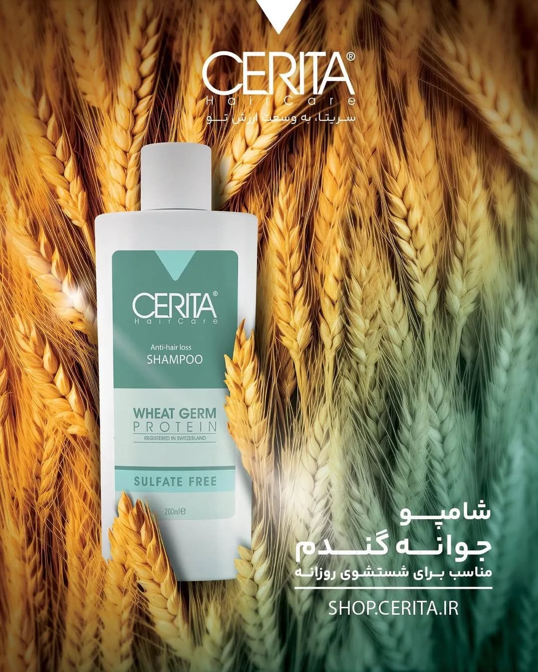 شامپو جوانه گندم CERITA، رنگ سفید و سبز، جنس پلاستیک، بطری