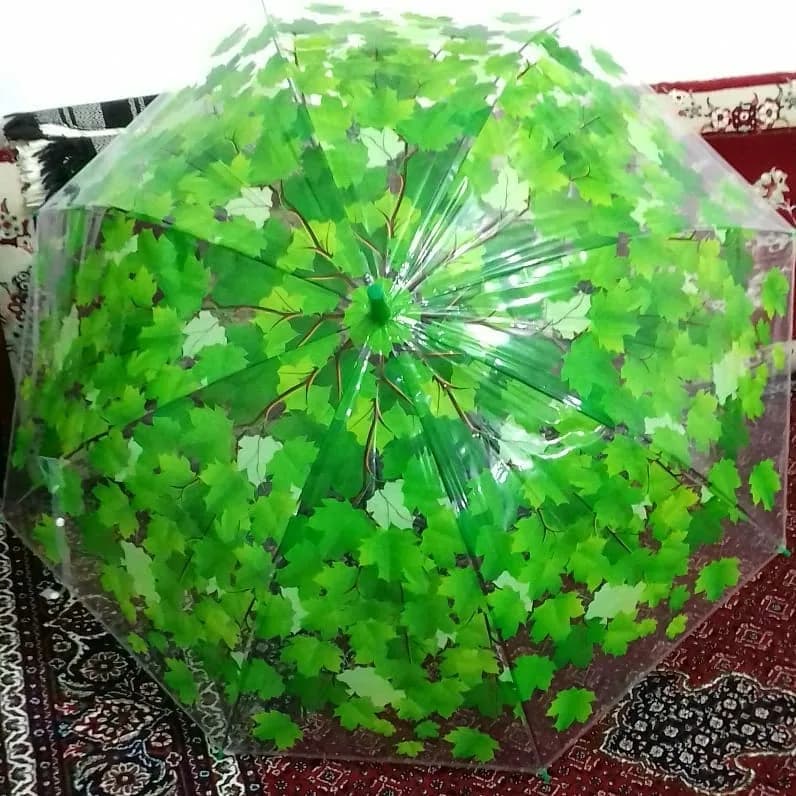 چتر زنانه طرح برگ چهار رنگ، رنگ سبز، جنس پلاستیک، طرح گلدار، شفاف، مدل گنبدی