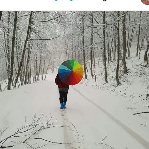 چتر رنگین کمان ۱۶ فنر برزنت