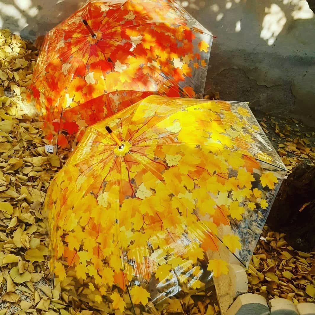 چتر زنانه طرح برگ دسته چوبی