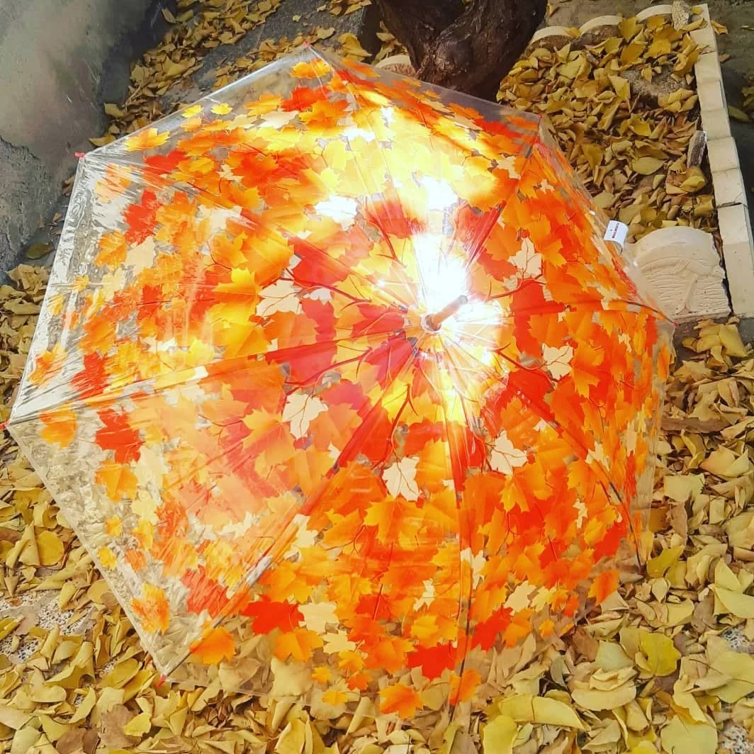چتر زنانه طرح برگ دسته چوبی