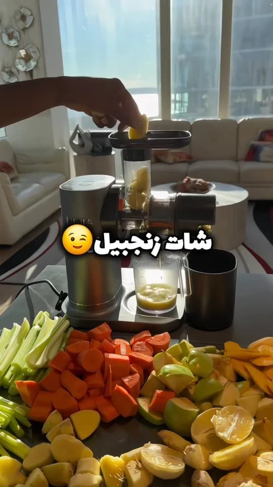 عصارهگیر نینجا، رنگ خاکستری و مشکی، جنس پلاستیک و فلز، آبمیوهگیر آرام