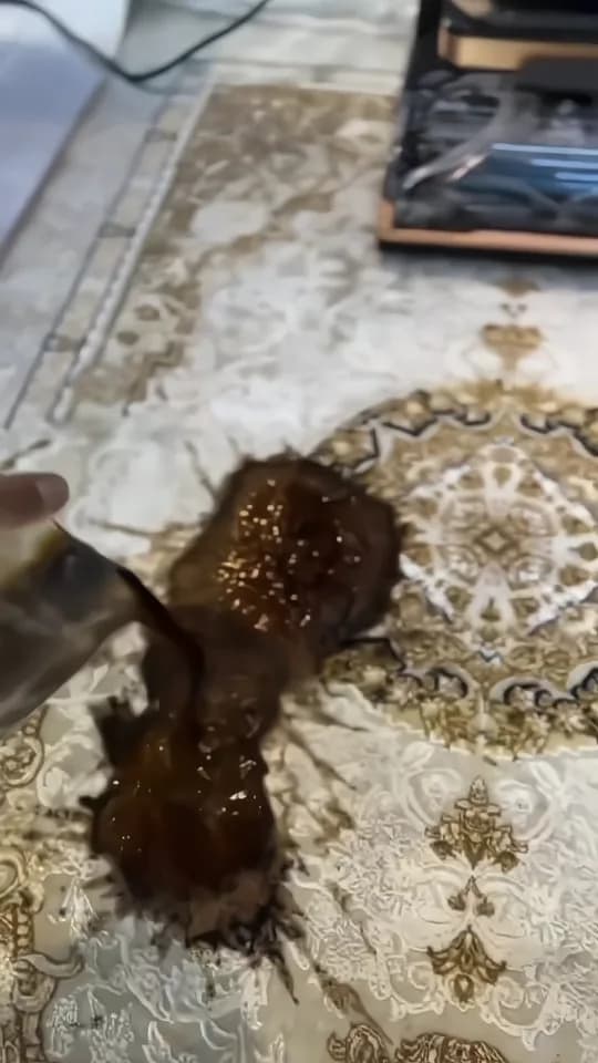 فرششوی و مبلشوی بیسل، رنگ قهوهای و کرم، جنس پشم، طرح طرح سنتی، مستطیلی