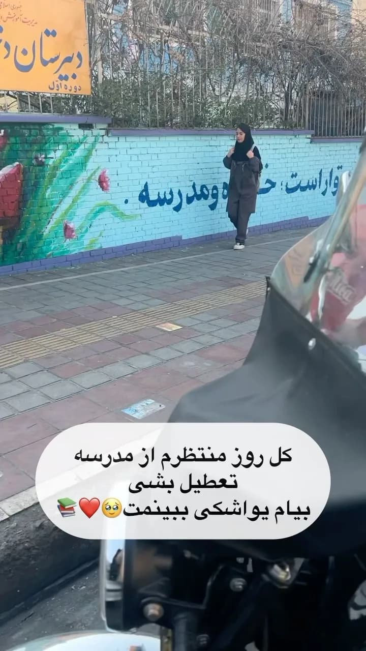 کنسرو مروارید صدف طبیعی