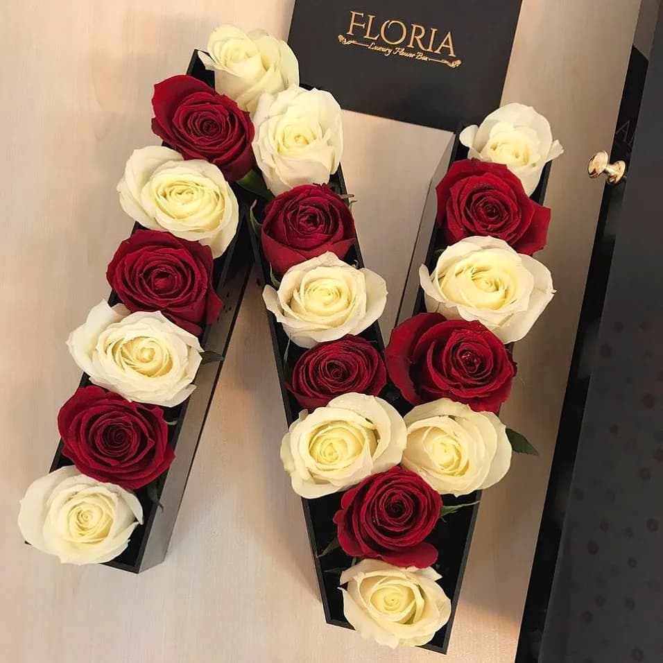 باکس گل رز حرف N