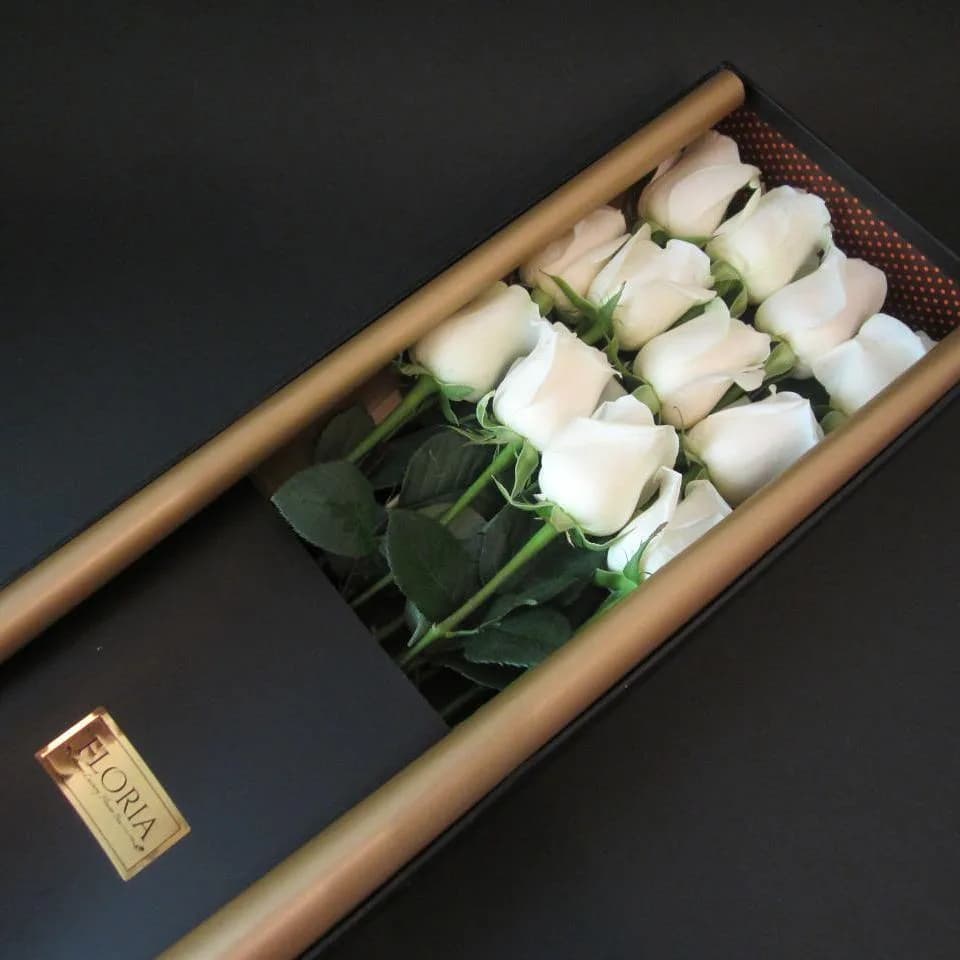 جعبه ۱۲ شاخه رز هلندی