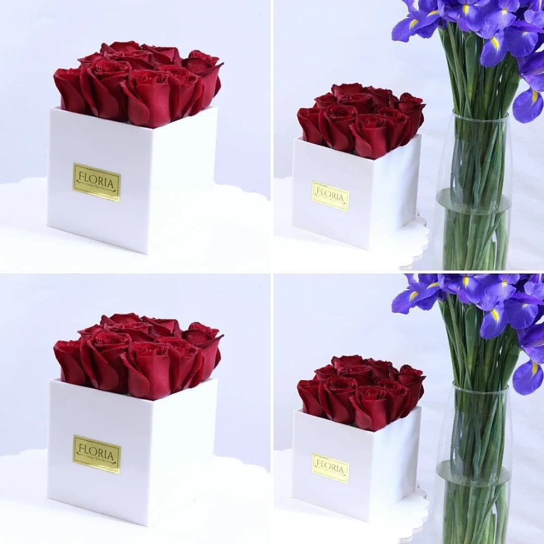 باکس گل رویال اکریلیک، رنگ قرمز، سفید و آبی، جنس چوب، شیشه و گل طبیعی، باکس گل و گلدان