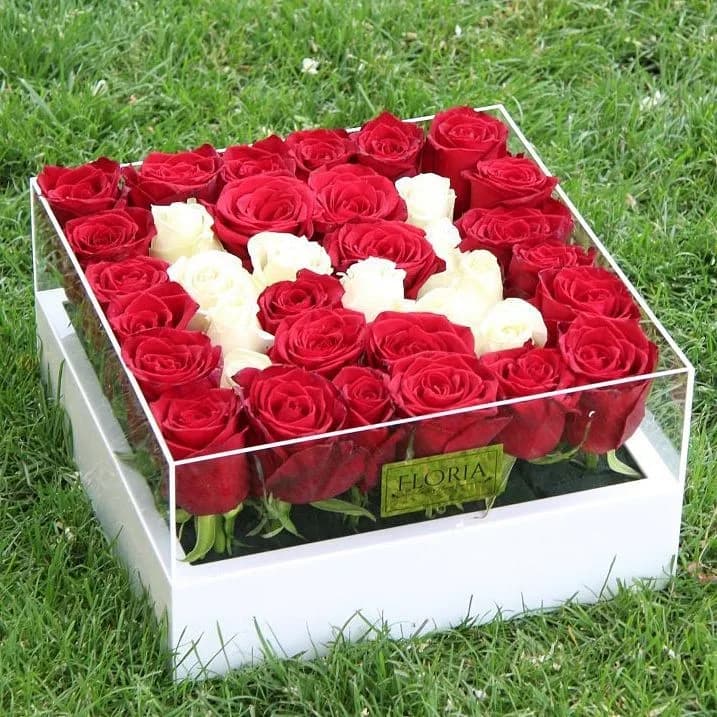 باکس گل رز، رنگ قرمز و سفید، طرح گلدار، مربعی