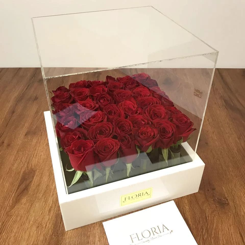 باکس دیاموند پلاس فلوریا، رنگ قرمز، جنس پلکسی، مکعبی