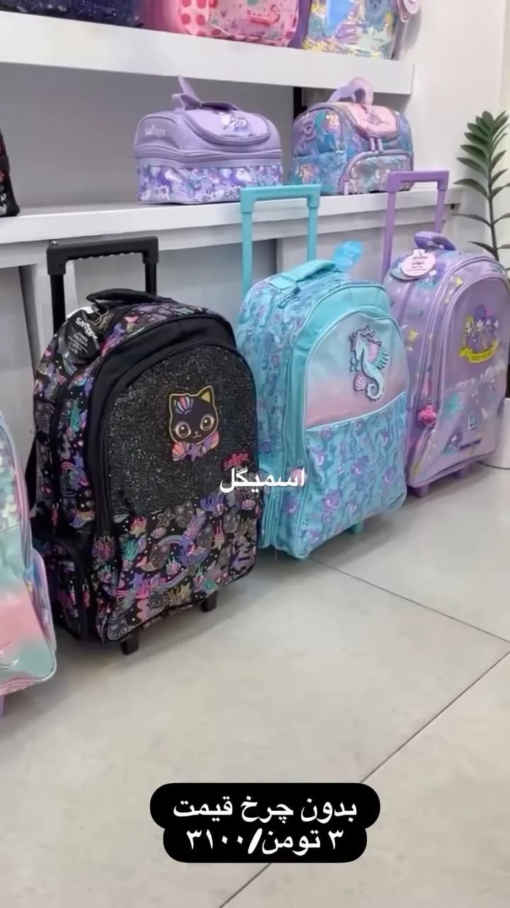 کوله پشتی چرخدار اسمیگل