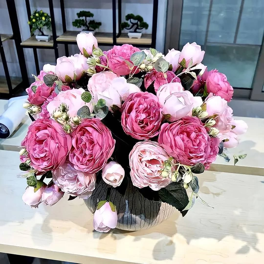 بوته رز پئونی دورنگ