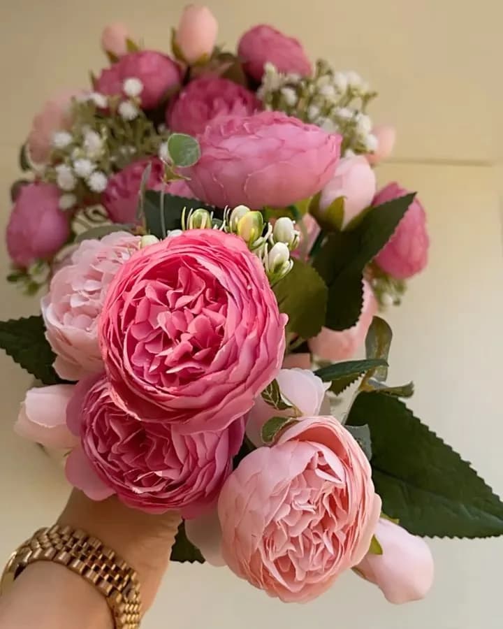 بوته رز پئونی دورنگ