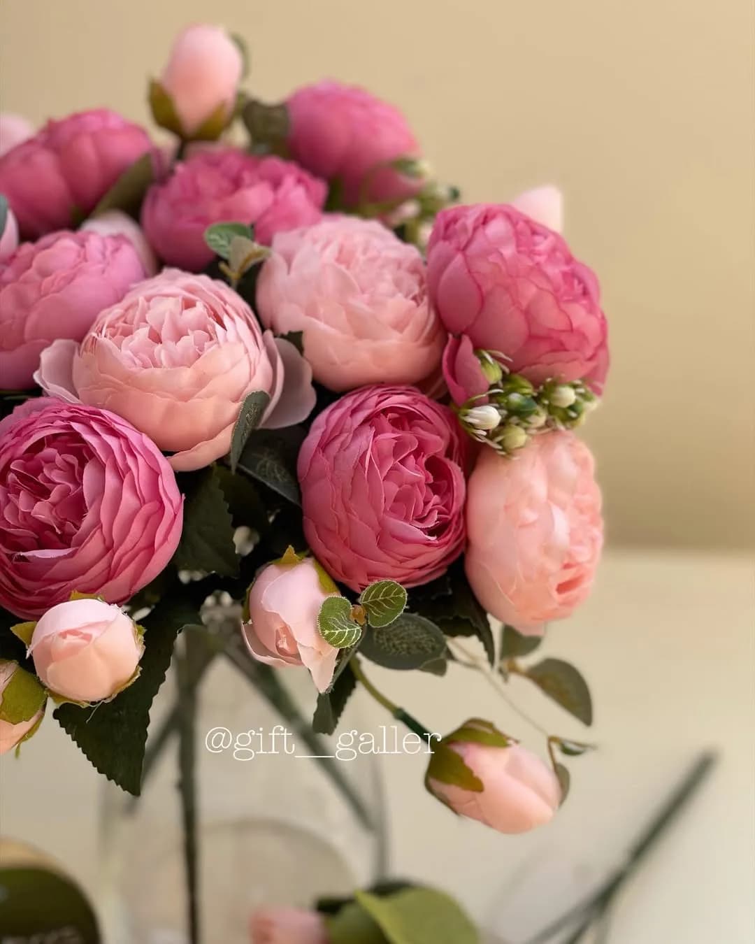 بوته رز پئونی دورنگ