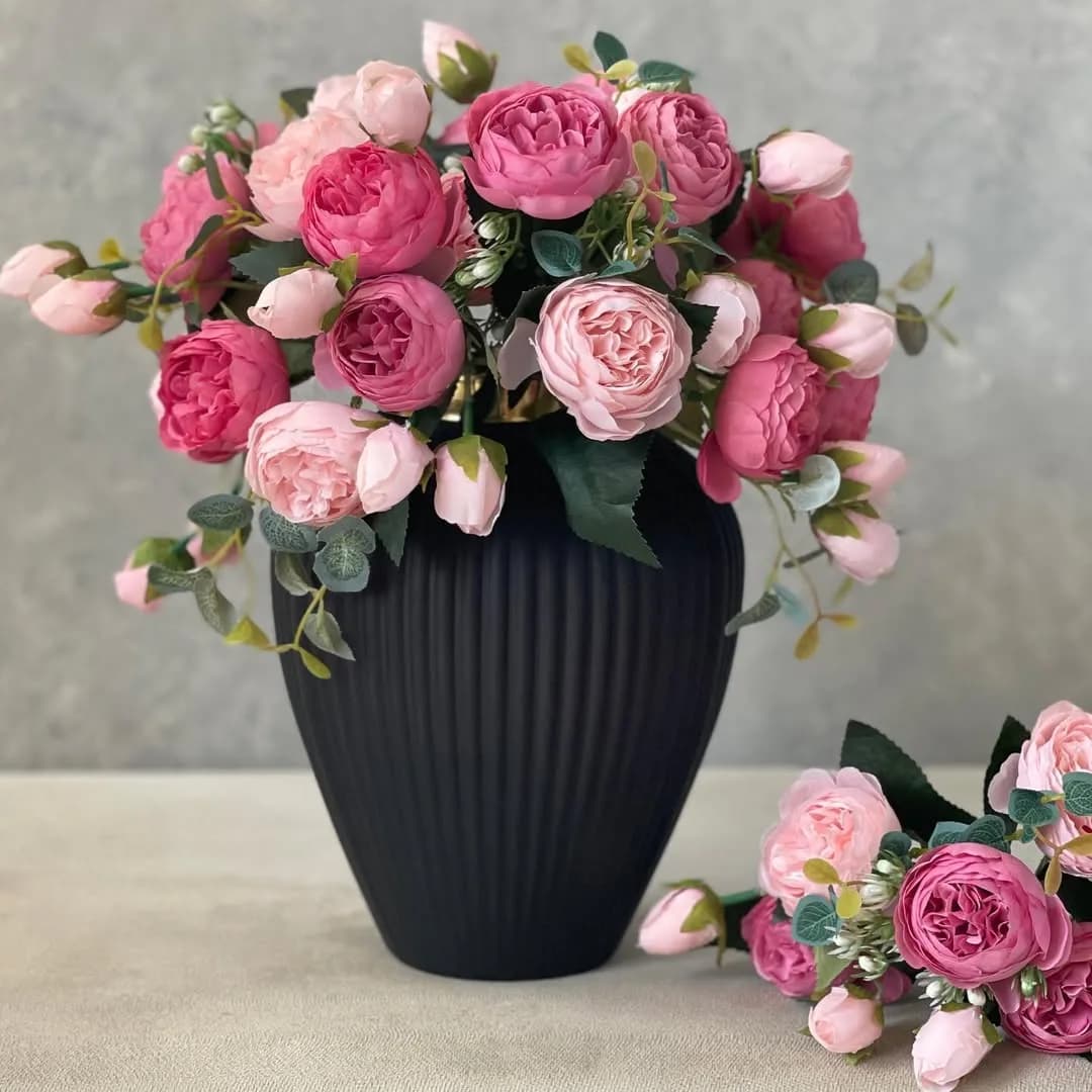 بوته رز پئونی دو رنگ