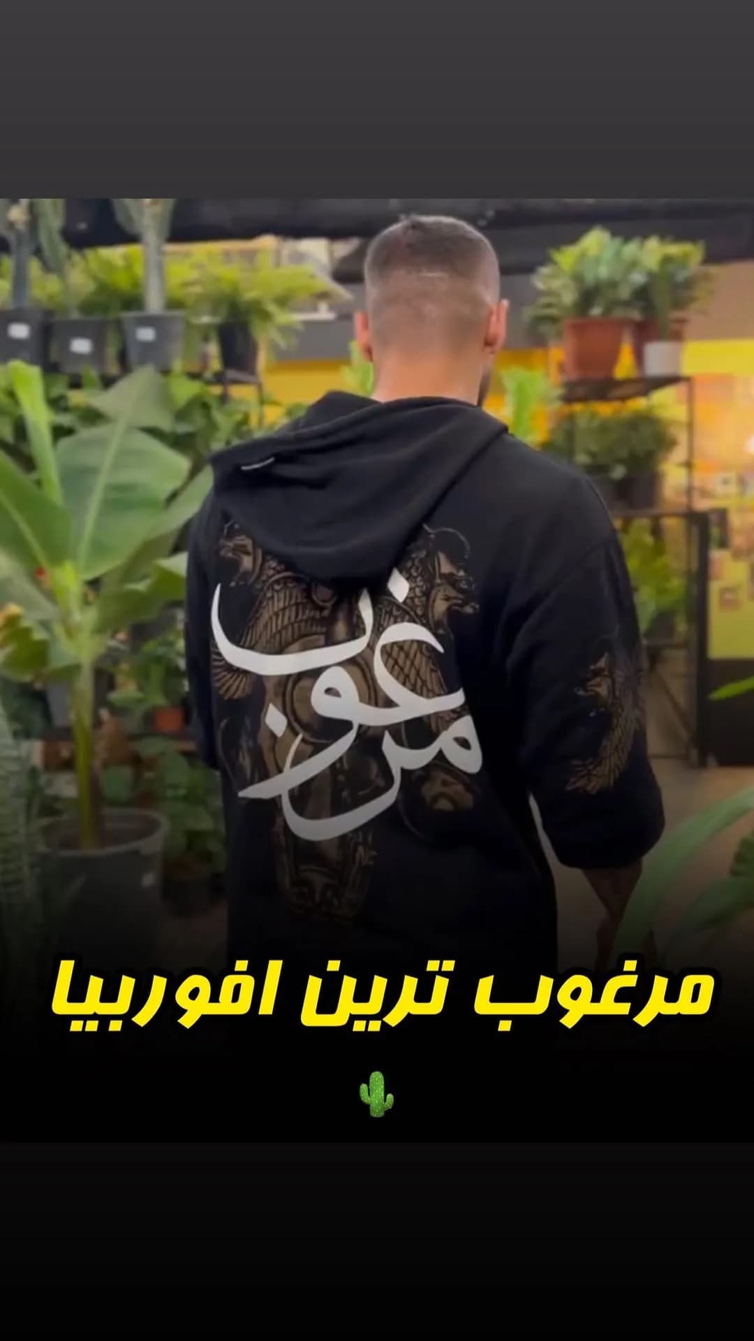 افوربیا