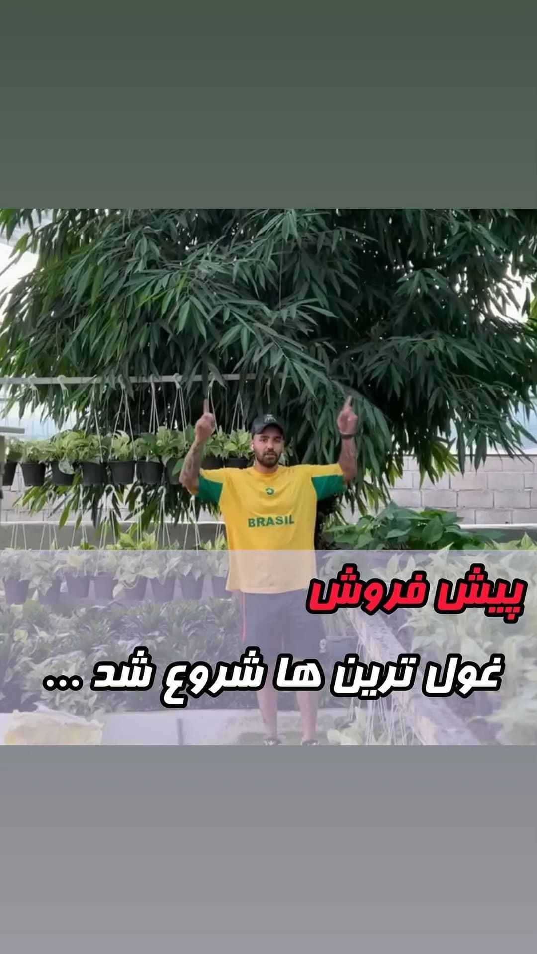 امستل بزرگ (پیشفروش)