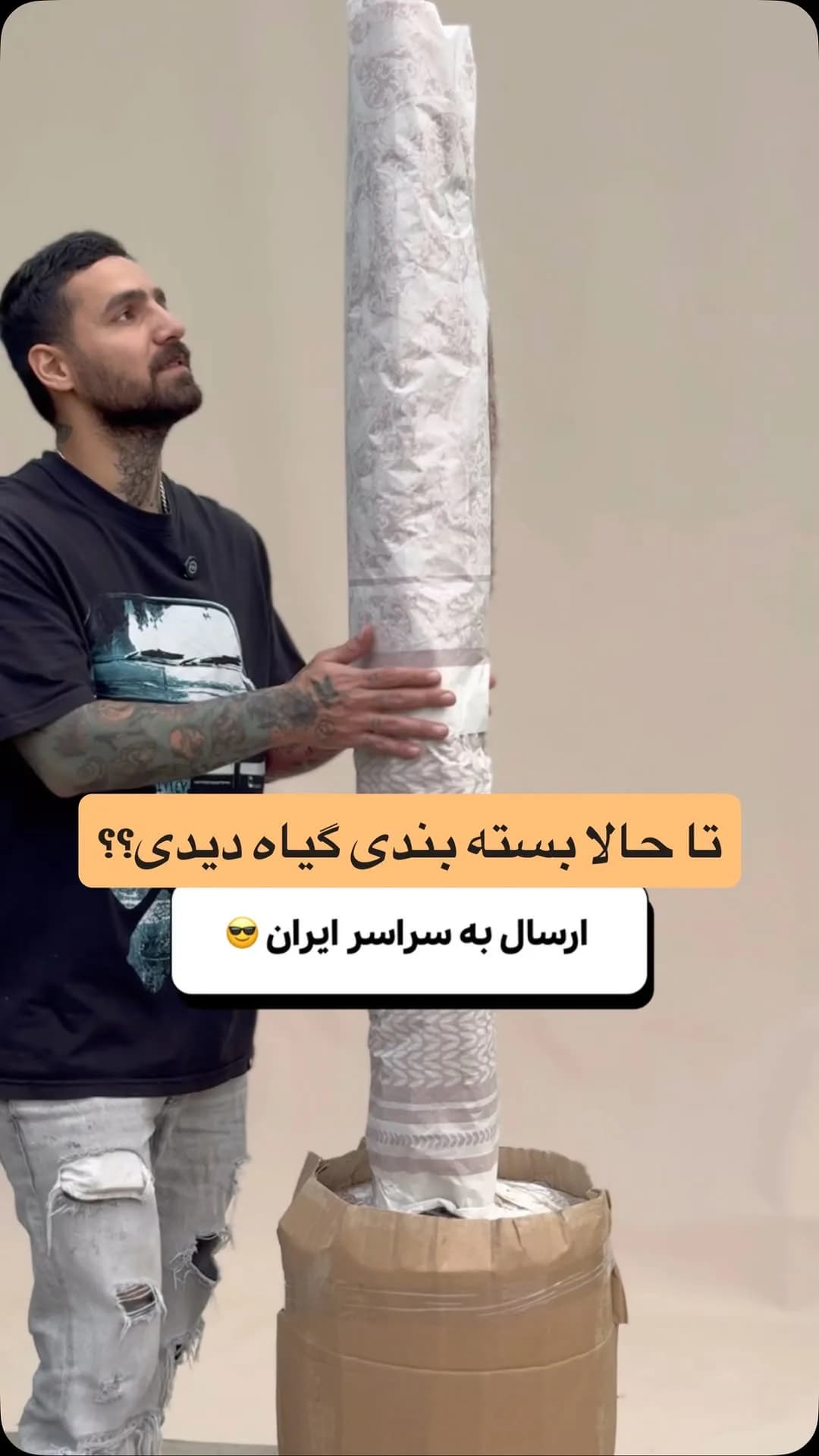 نخل نیکولای گلدانی