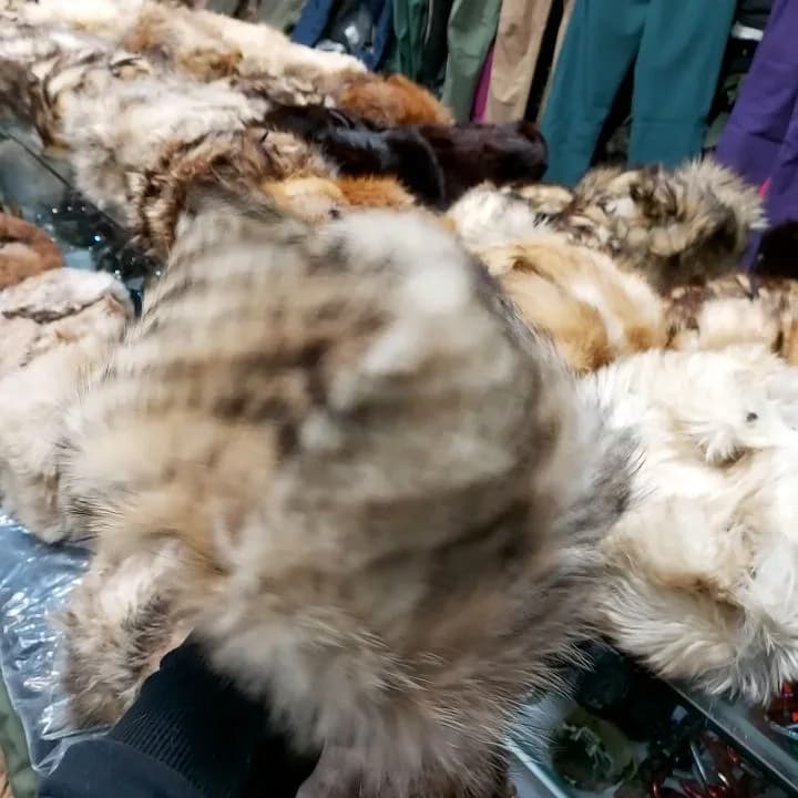 کلاه روسی پوست گوش‌بند