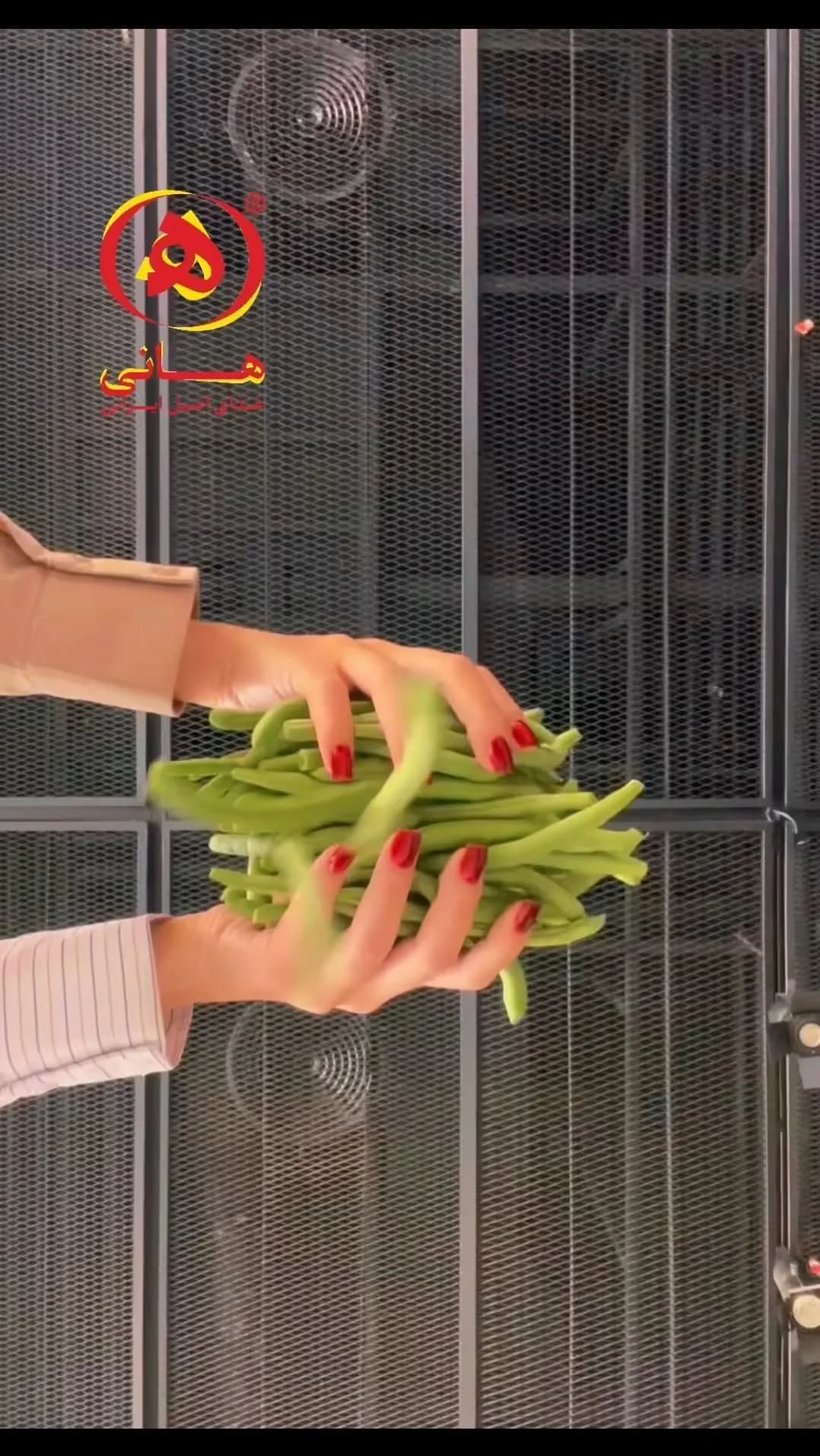 مایه لوبیا پلو آماده هانی، رنگ سبز، سبزیجات تازه