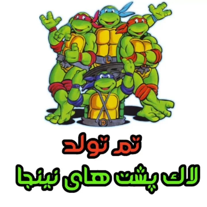 تم تولد لاکپشتهای نینجا