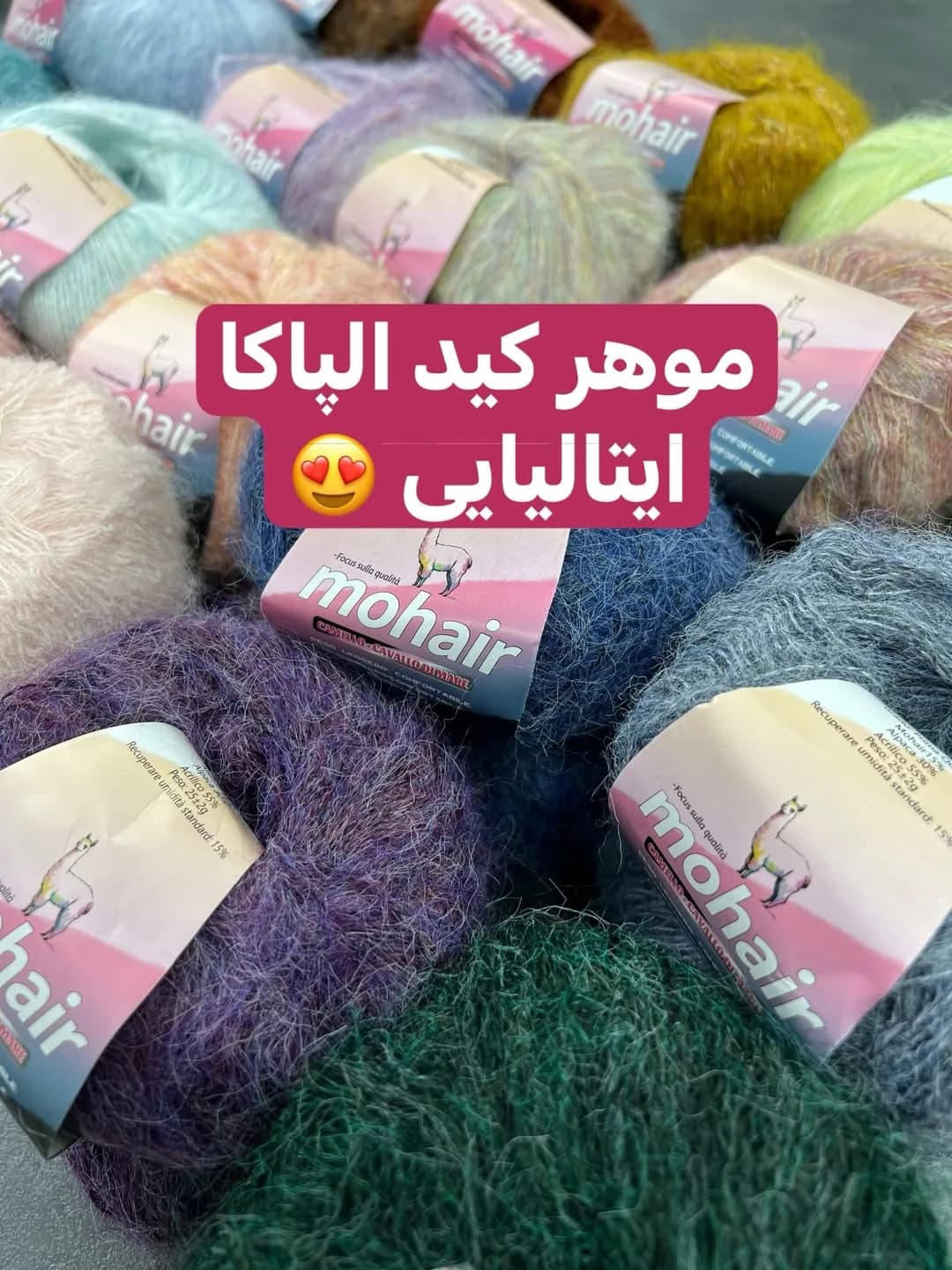 موهر کید آلپاکا ایتالیایی