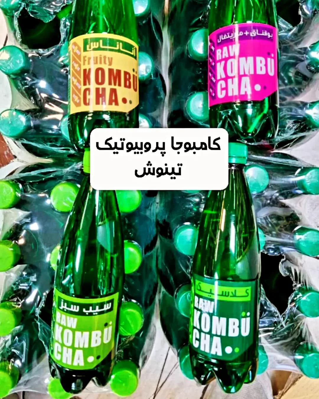 کامبوچا پروبیوتیک ۵۰۰ سی‌سی تینوش