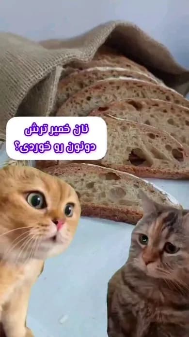 نان خمیر ترش دونون، رنگ قهوهای، برش خورده