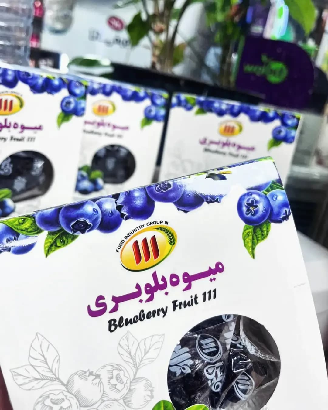 بلوبری خشک ۱۰۰ گرمی