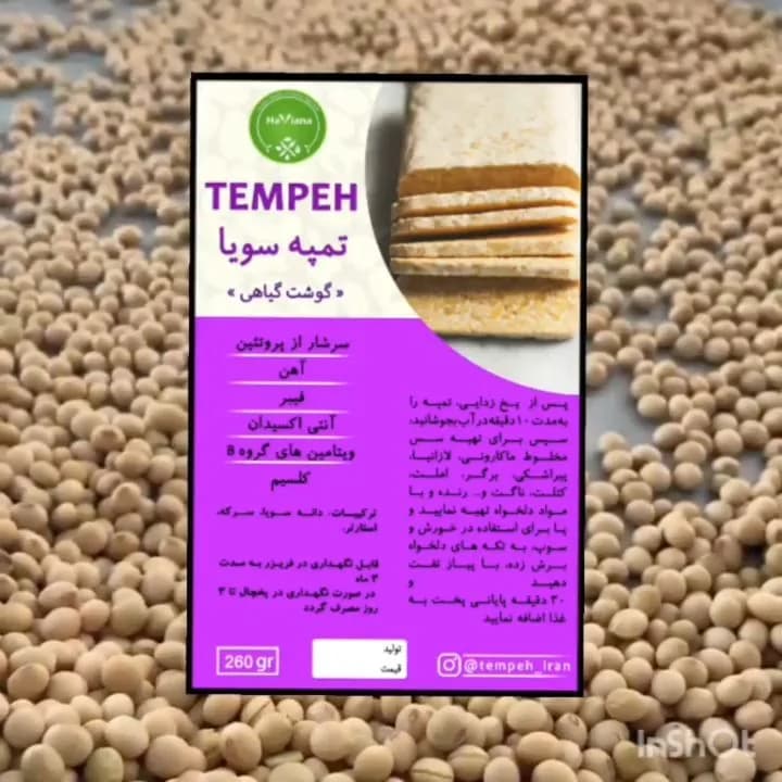 تمپه سویا مزهدار هاویانا، رنگ کرم، قالب مستطیلی
