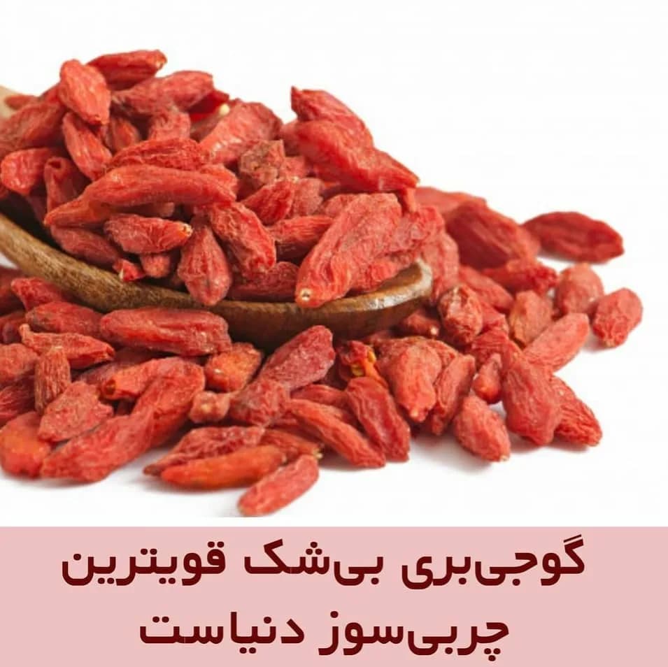 گوجی بری بیشک
