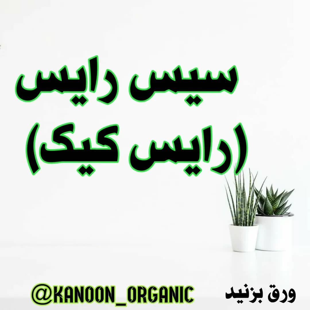 رایس کیک سیس رایس